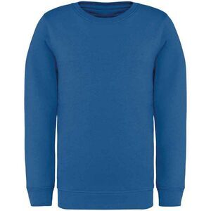Native Spirit Childrens/Kids Sweatshirt / Sea Blue